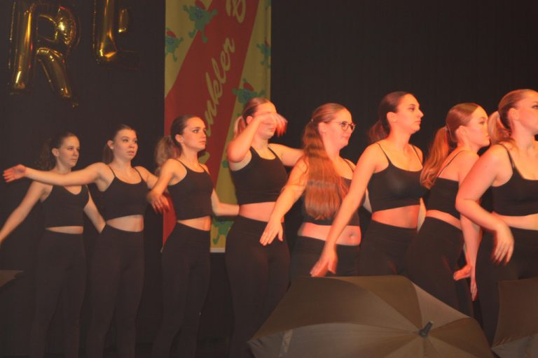 Die Showtanzgruppe "Elements of Dance" begeistert mit ihrer Performance.