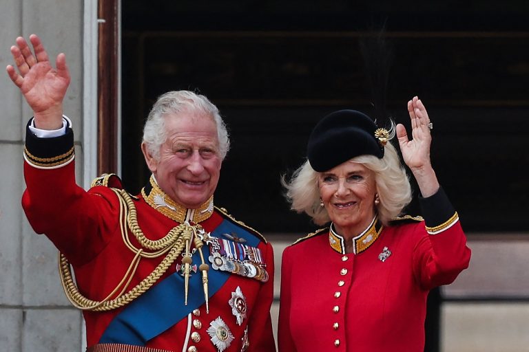 König Charles (75) ist seit mehr als einem Jahr britischer Monarch, nachdem seine Mutter Königin Elizabeth II. im September 2022 gestorben war.