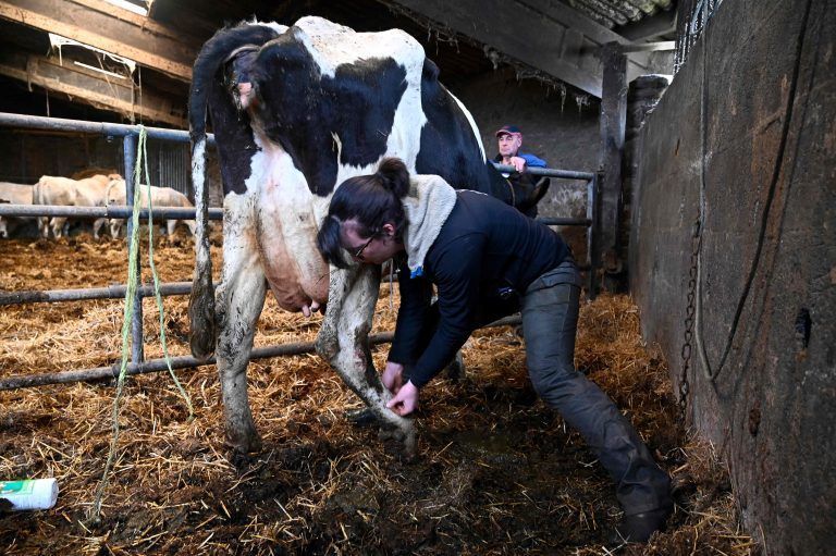 FRANCE-AGRICULTURE-ANIMALS-VETERINARIAN