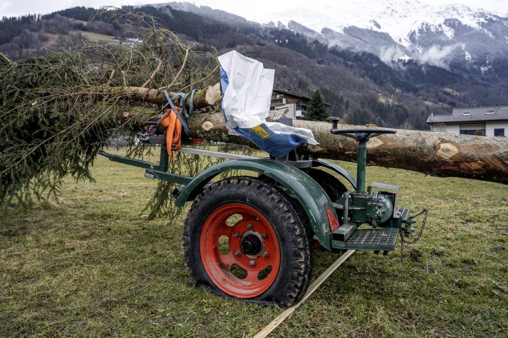 Debatte um Hexe eskaliert: Schrunser Funkentanne zersägt