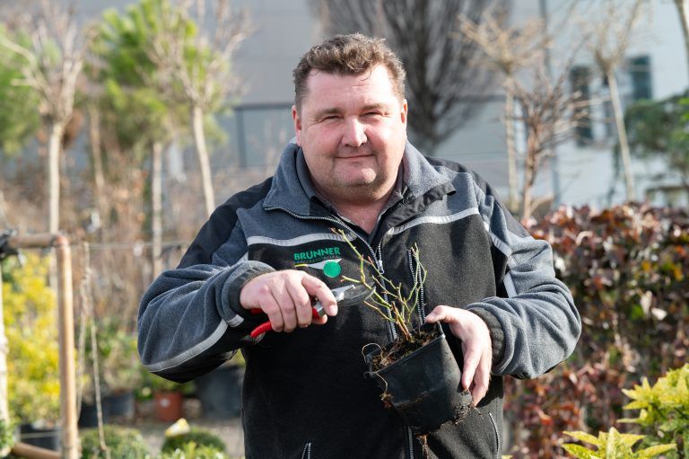 Der Frühling steht bevor- was man jetzt schon in seinem Garten machen kann
