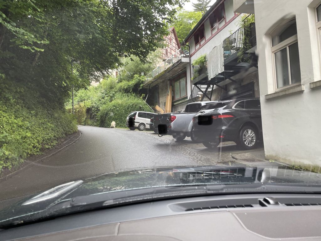 Rasende Radler und E-Scooterfahrer machen Bregenzer Fußgängerzone zur Gefahrenzone