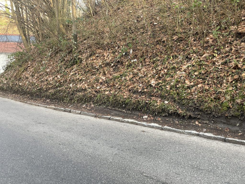 Rasende Radler und E-Scooterfahrer machen Bregenzer Fußgängerzone zur Gefahrenzone