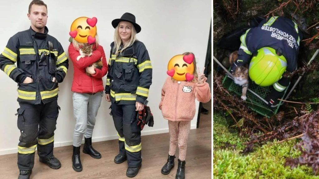 Eine Woche im Schacht: Ausgehungerte Katze &#8220;Kali&#8221; gerettet und wieder bei ihren Besitzern