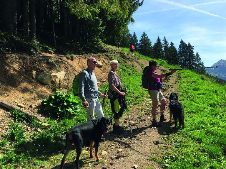 Sabine Eberle zeigt den Gästen die Bergwelt des Kleinwalsertals. Die Natur und deren Schönheit zu vermitteln, ist ihr wichtig.