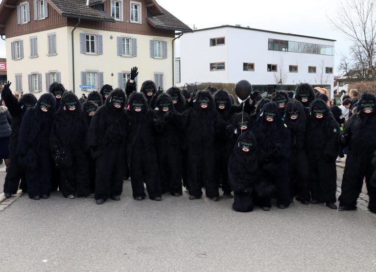 Die Gorillas waren beim Hörbranzer Umzug auf freiem Fuß.