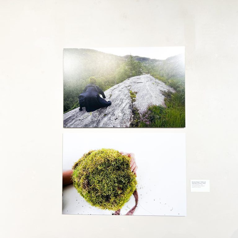 Siegerbilder des Hypo-Kunstpreis von Silke Maier-Gamauf und Romana Hagyo - Anthropophyten