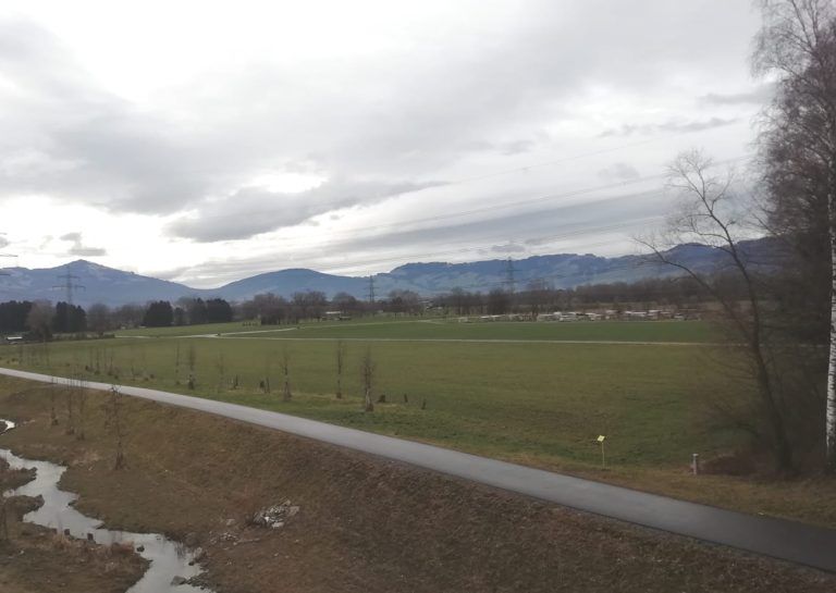 Durchs Altacher Ried soll die Erschließungsstraße Kratter führen.