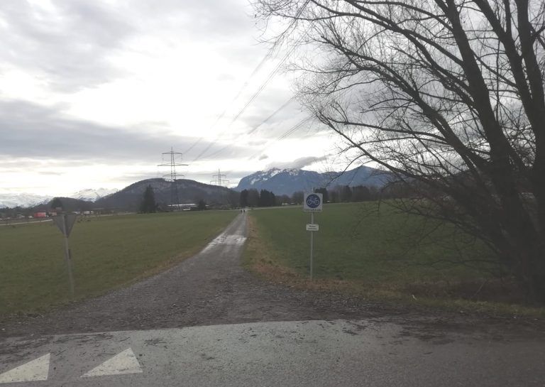 Durchs Altacher Ried soll die Erschließungsstraße Kratter führen.