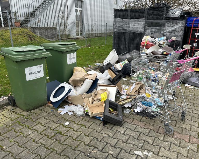 Billa Mülldeponie Lochau