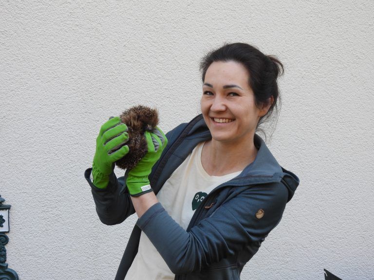 Katharina Feurstein setzt sich mit Leidenschaft für Igel und Co. ein