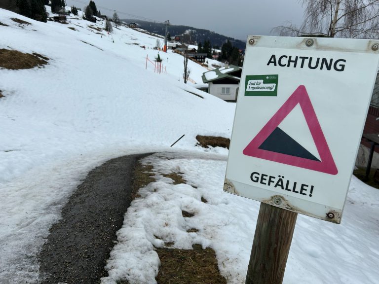 Steil, glatt und gefährlich: Dieser Weg führt zum Wohnhaus der Familie Felder.<span class="copyright"> VN/Gasser</span>