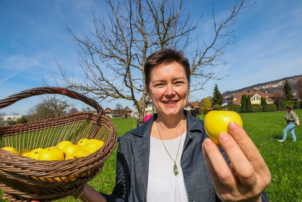 „Mit einem Obstbaum ist ein bisschen so wie bei einem Hund“