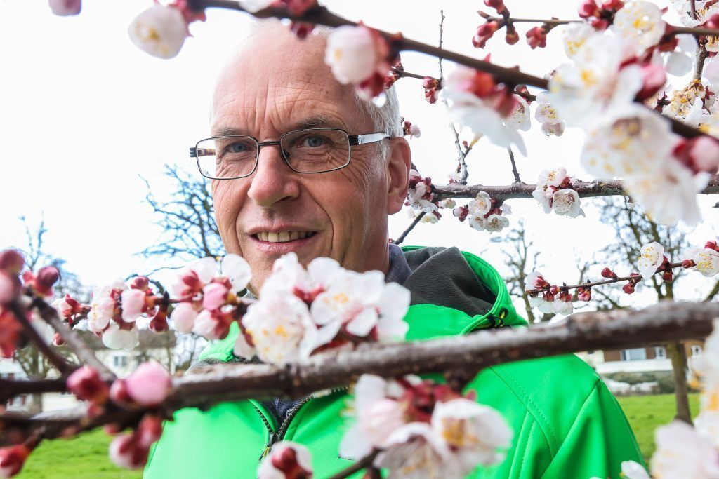 Warum den Obstbauern derzeit doch etwas mulmig zumute ist