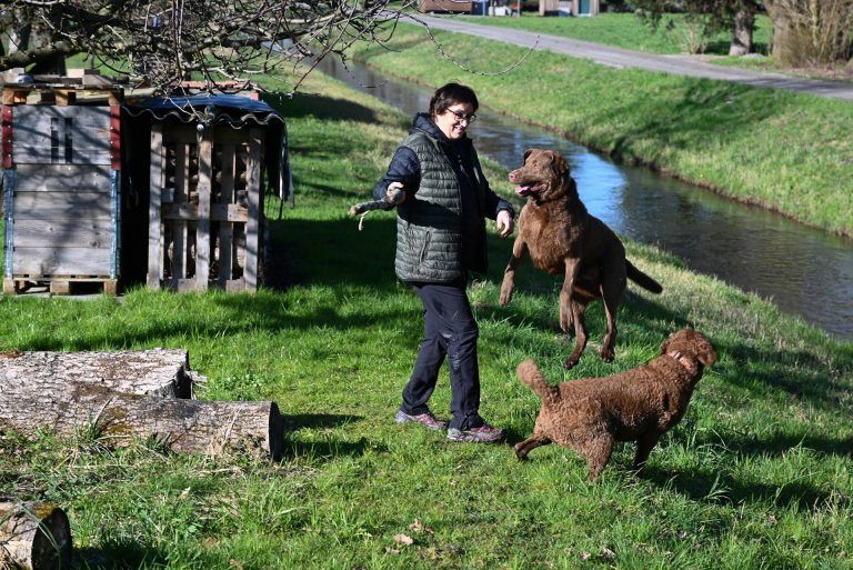 Die Hunde Accord und Brooks genießen die Zeit in der Natur. - Lustenauer Vierbeiner unter den Schönsten weltweit - Lustenauer Vierbeiner unter den Schönsten weltweit