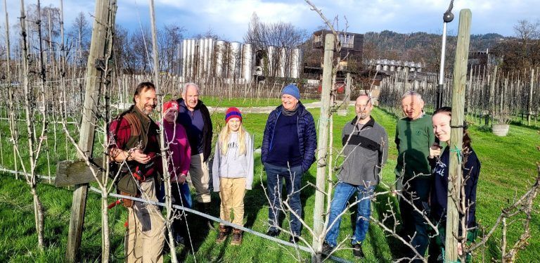 Baumschnittkurs im Obsthof Leiblachtal