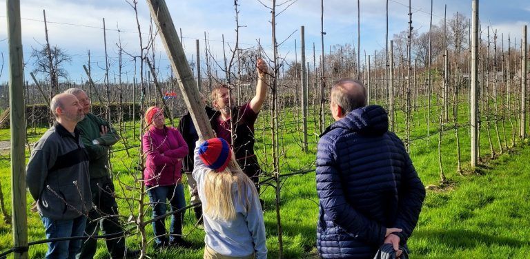 Baumschnittkurs im Obsthof Leiblachtal