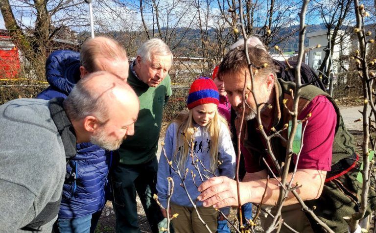 Baumschnittkurs im Obsthof Leiblachtal