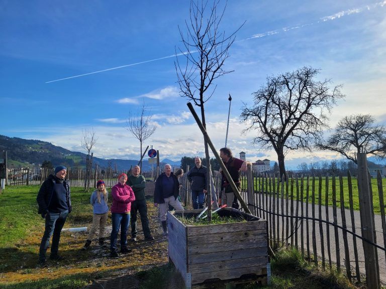 Baumschnittkurs im Obsthof Leiblachtal