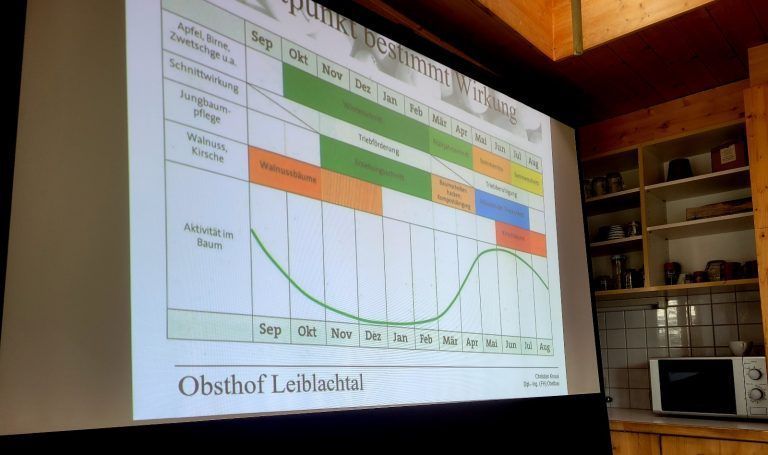 Baumschnittkurs im Obsthof Leiblachtal