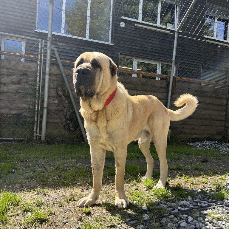 Tierecke KW 10