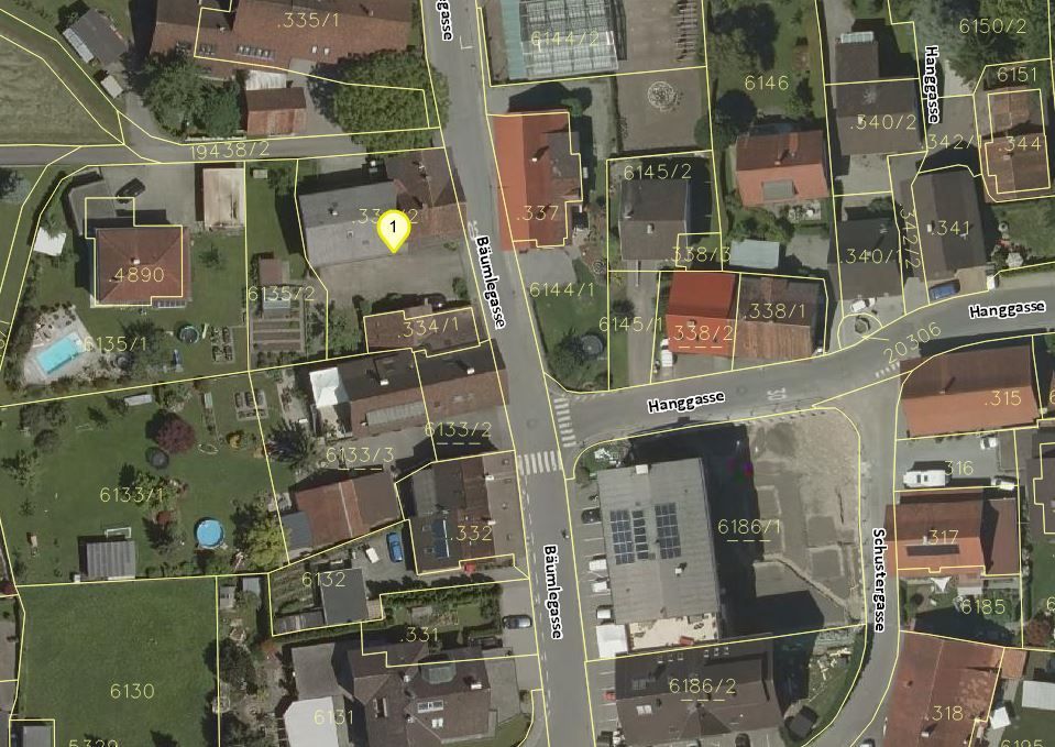 Land Vorarlberg: data.vorarlberg.gv.at, BEV (DKM)