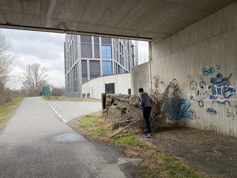 Müll am Ill-Radweg
