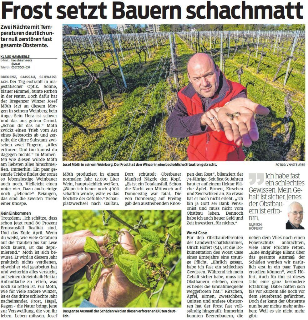Warum den Obstbauern derzeit doch etwas mulmig zumute ist