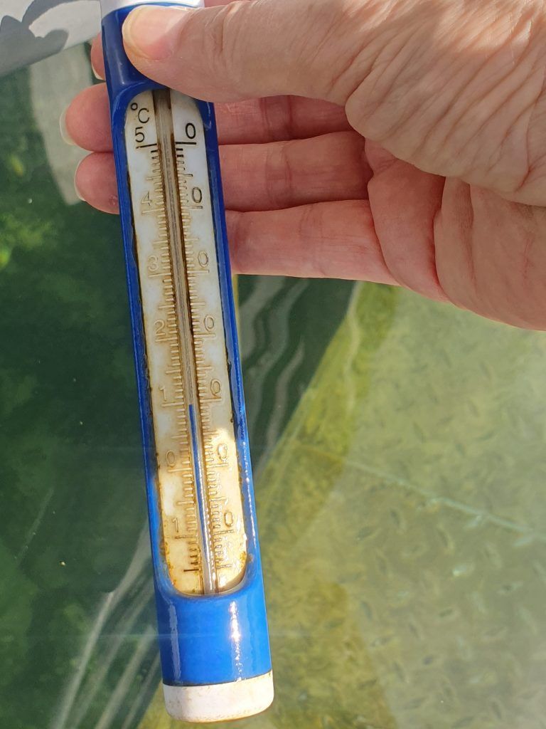 Eisbader Bodensee