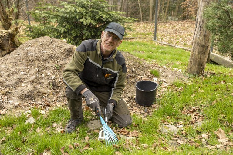 Wildpark Feldkirch Erweiterung Wildtiere Luchs Wildkatzen Wildschwein Besucher Steinbock Reh Esel Fütterung