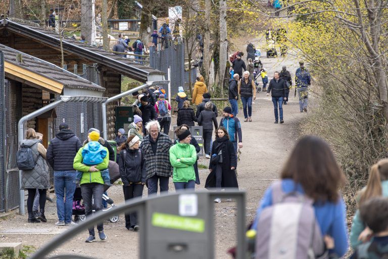 Wildpark Feldkirch Erweiterung Wildtiere Luchs Wildkatzen Wildschwein Besucher Steinbock Reh Esel Fütterung