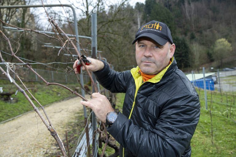 Vegetation und Frost osef Möth in seinem Weinberg und schauen uns die Knospen an, die vielleicht zu früh zu treiben beginnen.