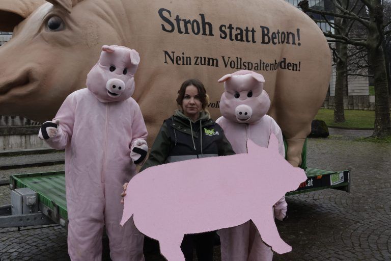 VGT Nein zu Vollspaltböden Aktion Kundgebung vor dem Landhaus