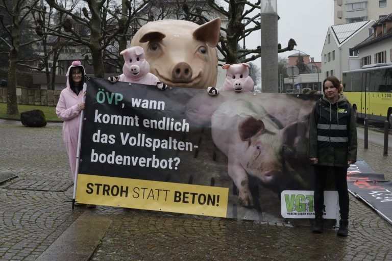 VGT Nein zu Vollspaltböden Aktion Kundgebung vor dem Landhaus
