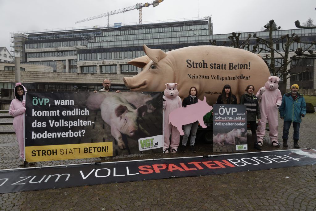 &#8220;Grunzi&#8221; wünscht sich Stroh statt Beton
