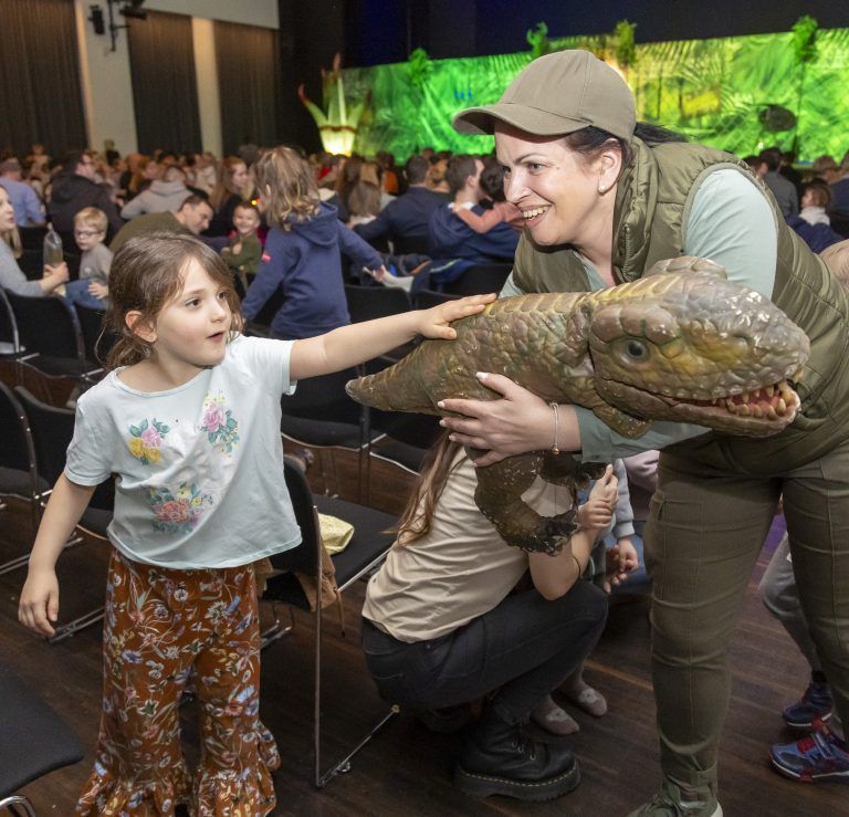Spannrahmen in Hard Dinosaurier-Show Kinder Show Dino