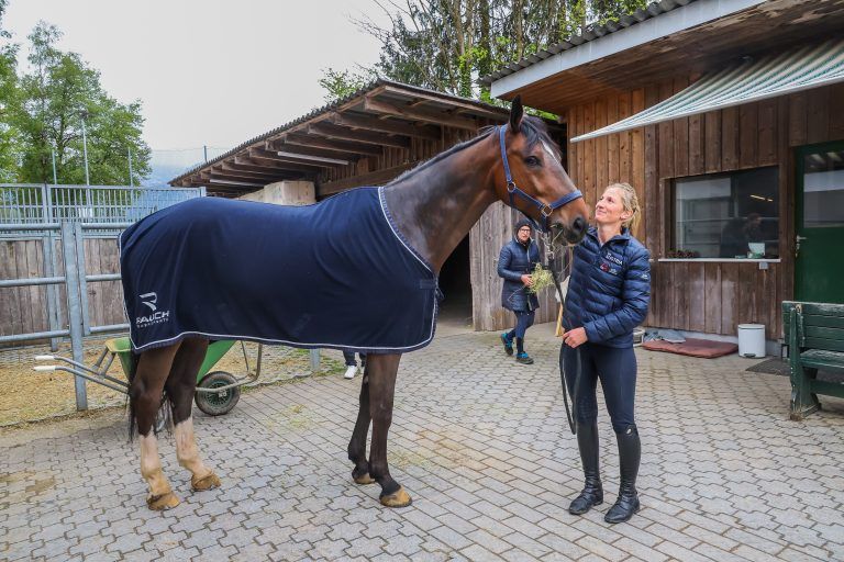 Portrt Reiterin Katharina Rhomberg, Olympiateilnehmerin Katharina Rhomberg, Bilder von ihr und vom Pferd