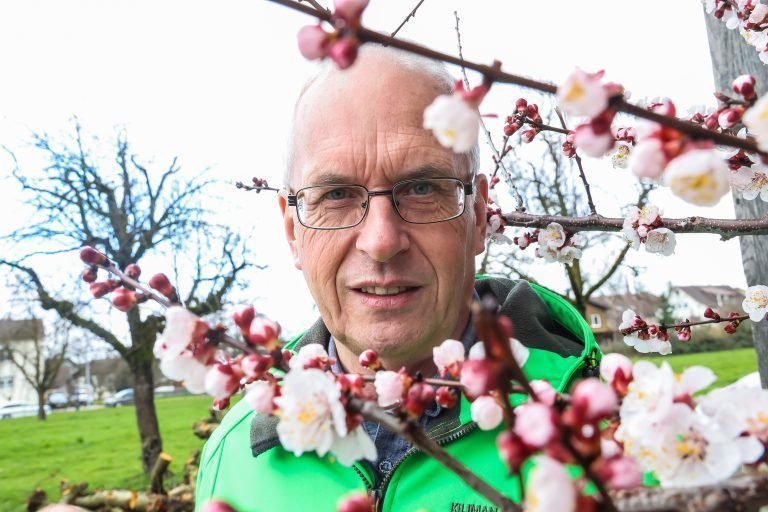 Vegetation Frost, Zu schnell treibende Vegetation, verbunden mit Obstgefahr. Treffen uns mit Obstbauexperten Ulrich Hfert