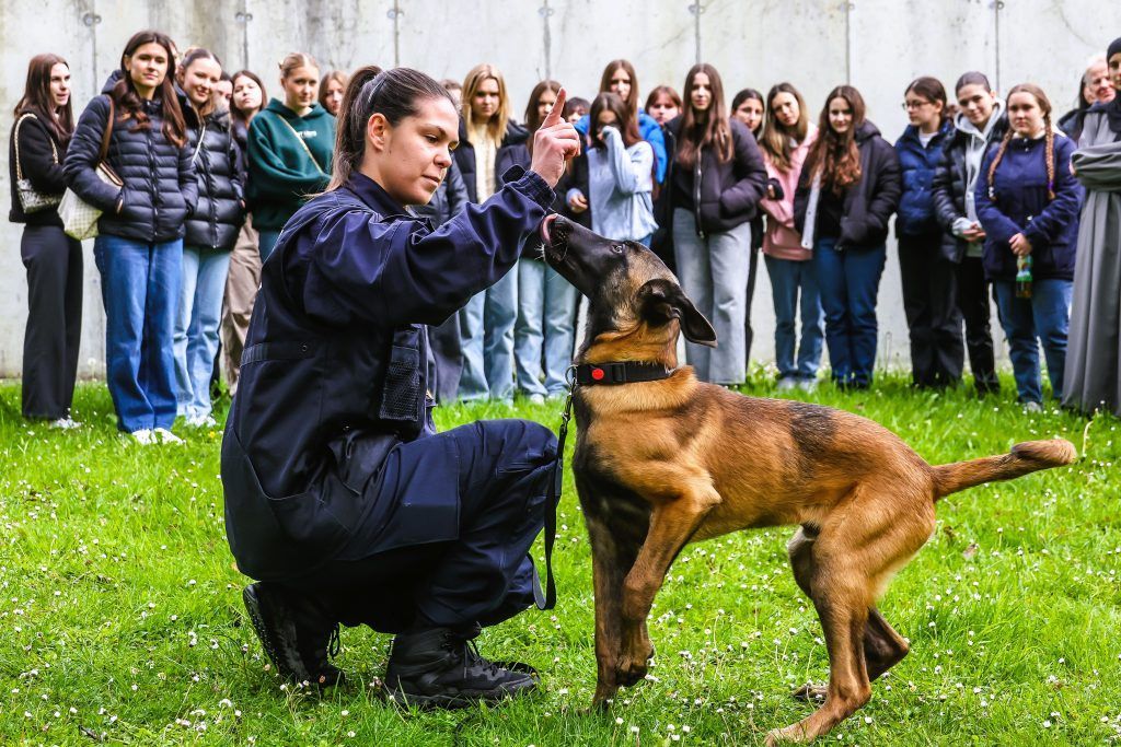 Zukünftige Heldinnen: Der &#8220;Girls Day&#8221; bei Polizei und Bundesheer