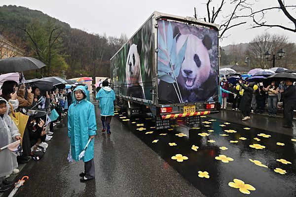 Tausende Menschen verabschieden in Südkorea geborenen Panda