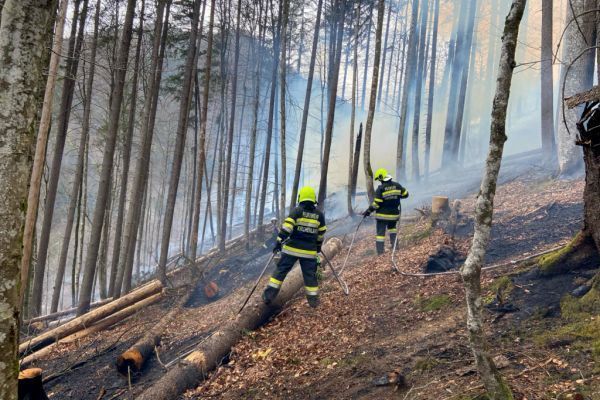 Waldbrände in Obersteiermark mit Hubschraubereinsatz