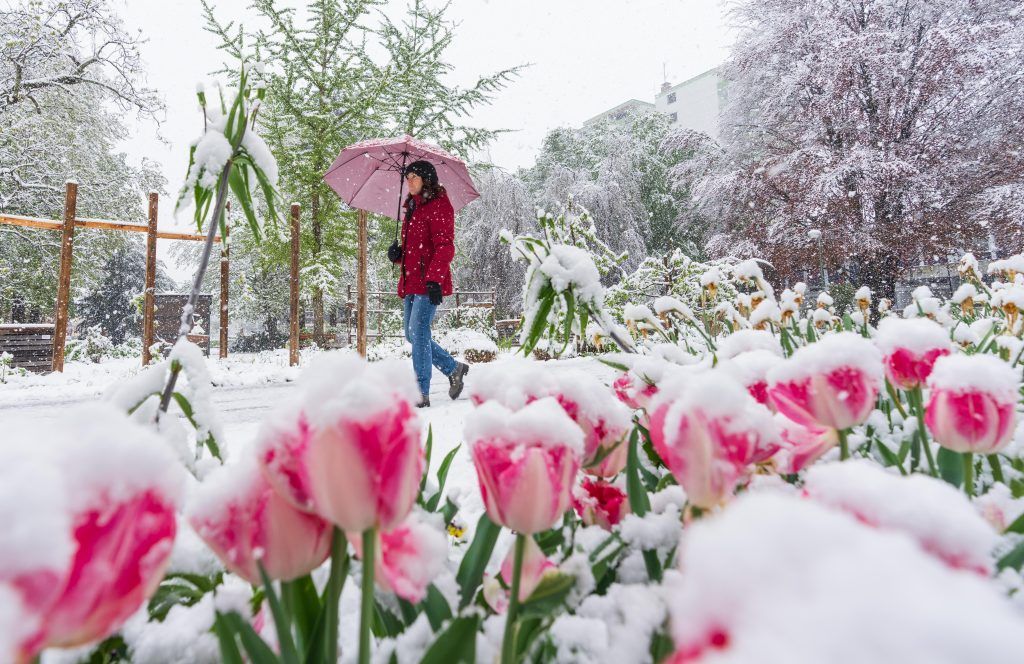T-Shirt im Februar, Winteranorak im April: Was ist mit dem Klima los?