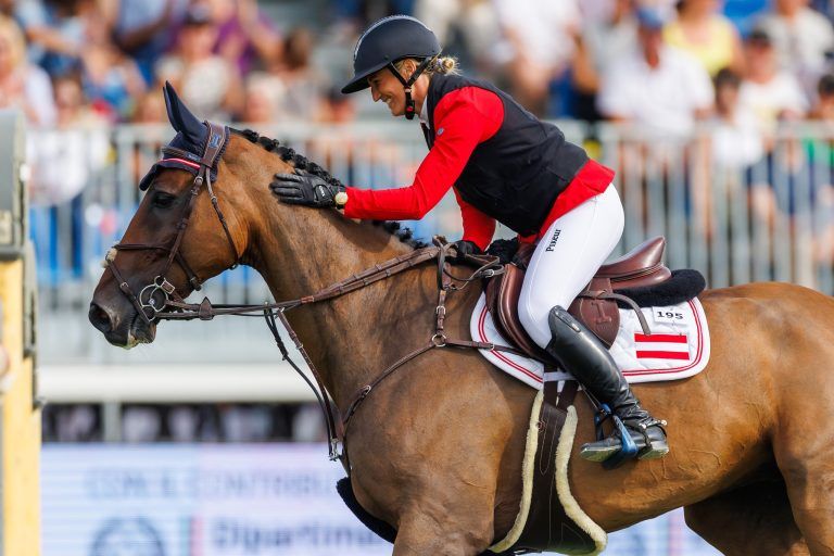 Reiten Pferde Springreiten