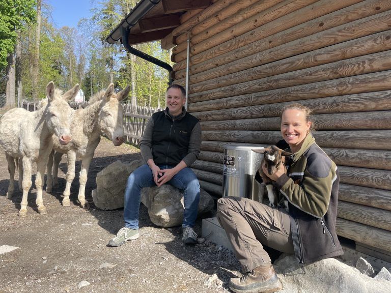 Wildpark Jungtiere