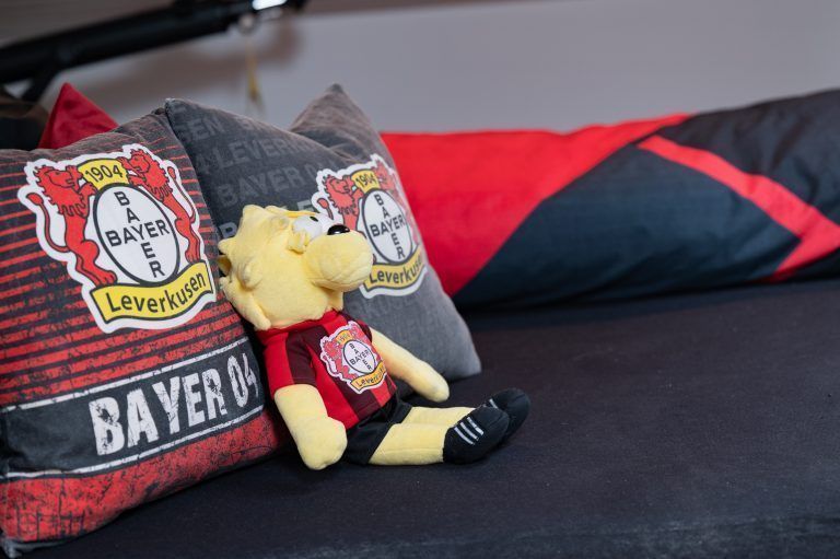 Bayer-Leverkusen-Fan / Homestory