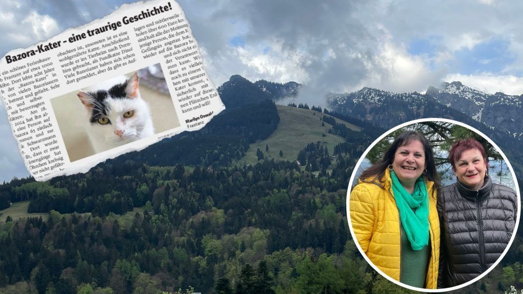 Verschleppter Bazora-Kater wieder zurück in Freiheit
