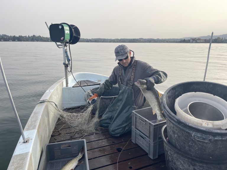 Roland Stohr Wasserburg Berufsfischer Fischereiverband
