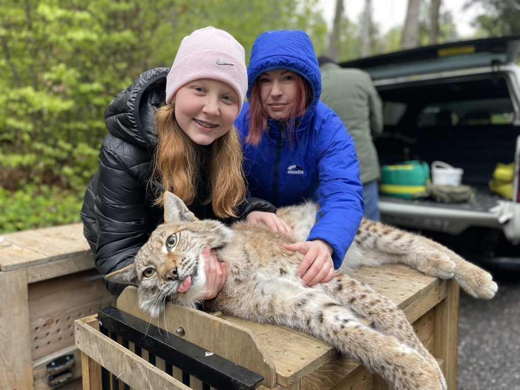 Im Wildpark heißt es Abschied nehmen