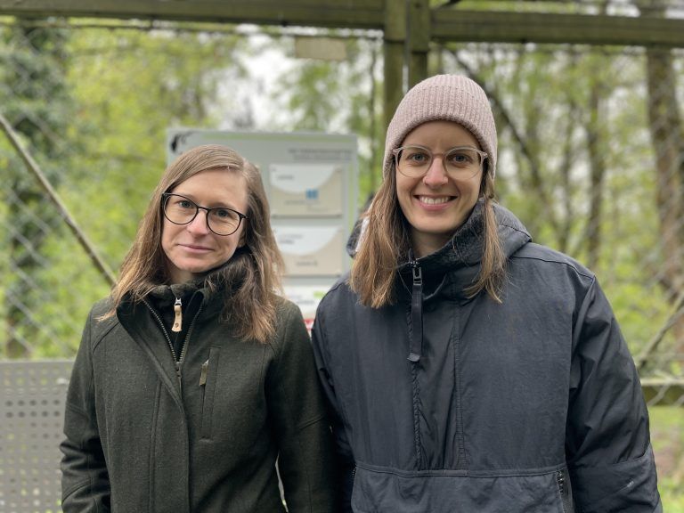 Luchsauswilderung Wildpark 2024