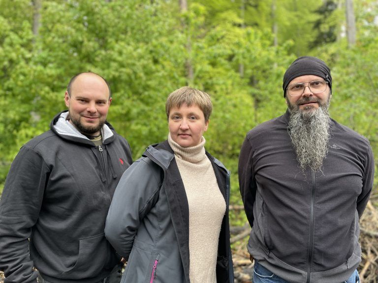 Luchsauswilderung Wildpark 2024